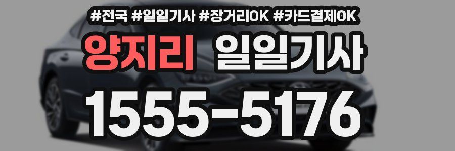 양지리 일일기사