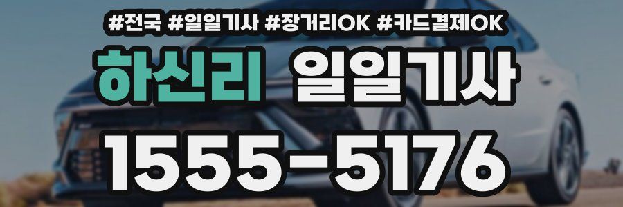 하신리 일일기사