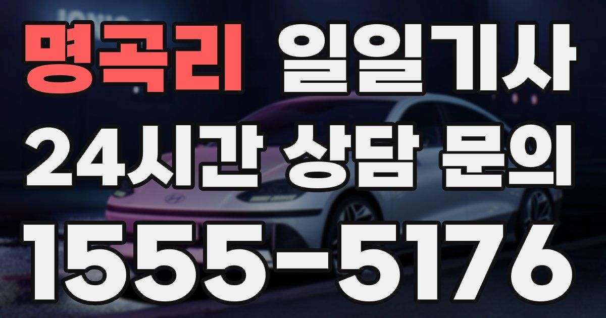 일일대리기사