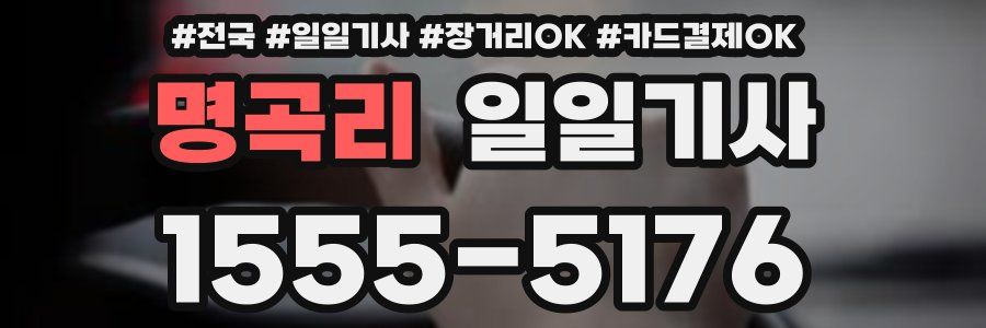 명곡리 일일기사