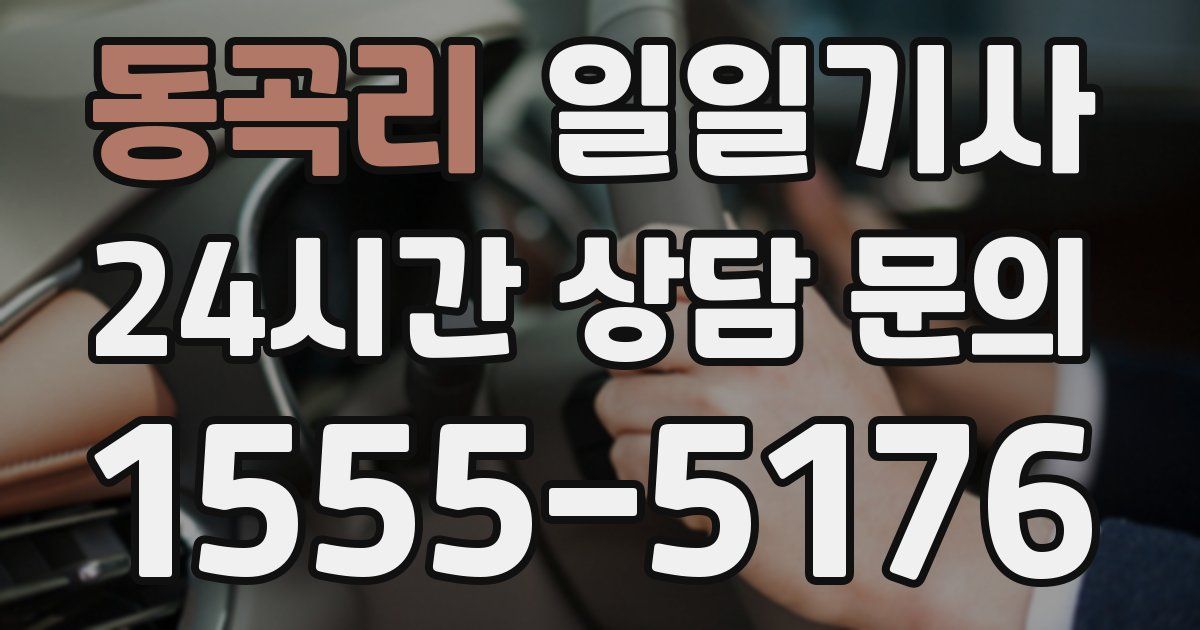일일대리기사