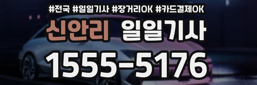 신안리 일일기사