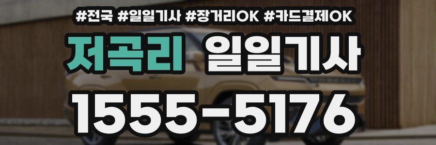 저곡리 일일기사