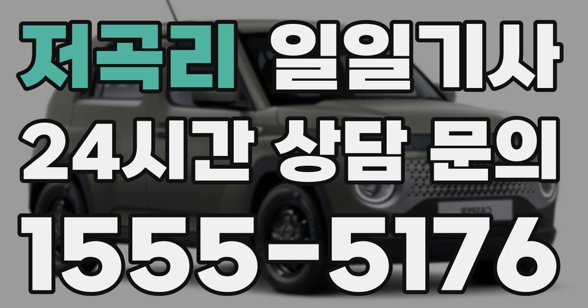 일일대리기사