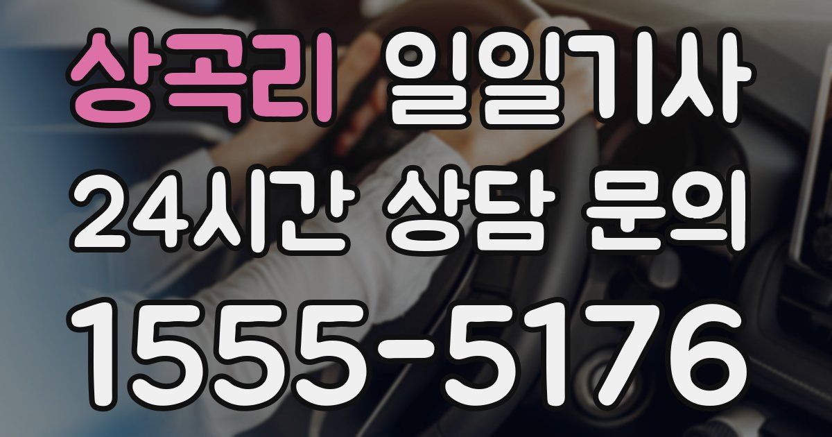 일일대리기사