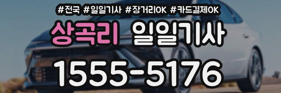 상곡리 일일기사