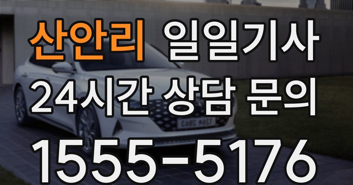 일일대리기사