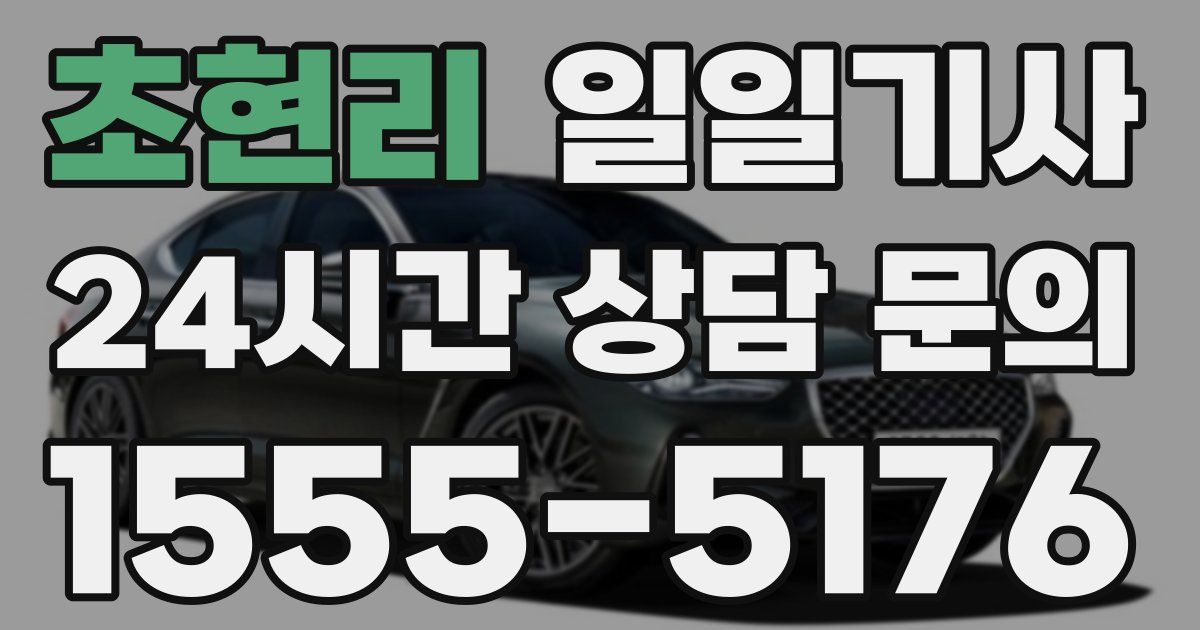 일일대리기사