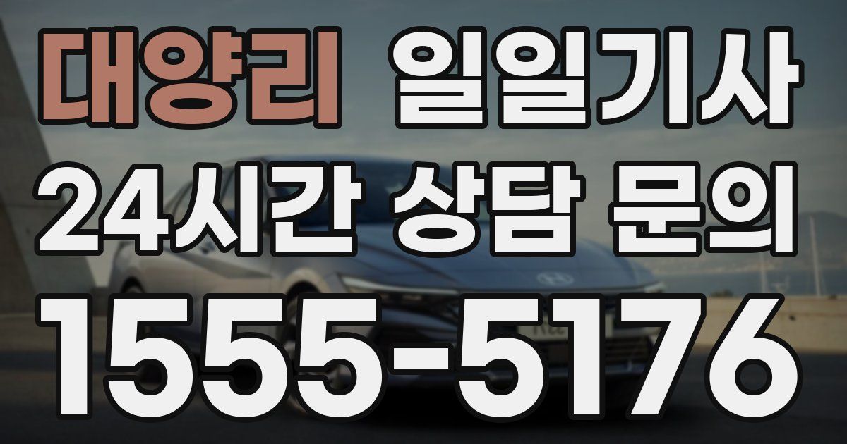 일일대리기사