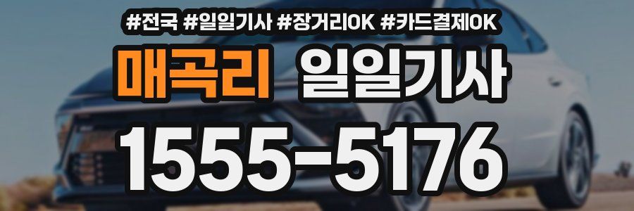 매곡리 일일기사