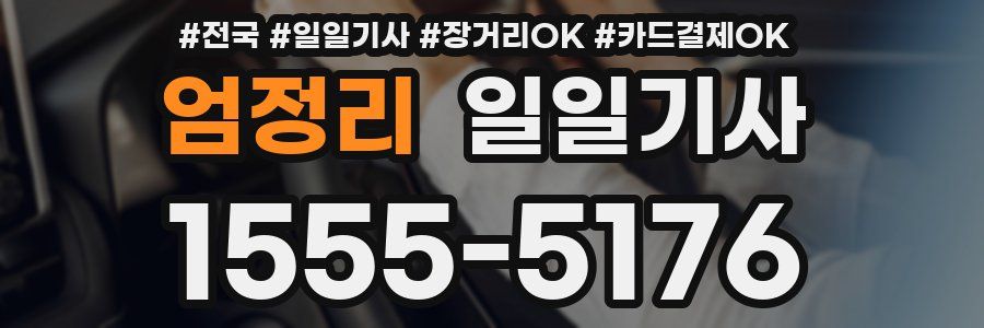 엄정리 일일기사