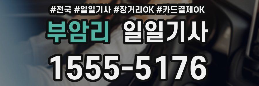 부암리 일일기사