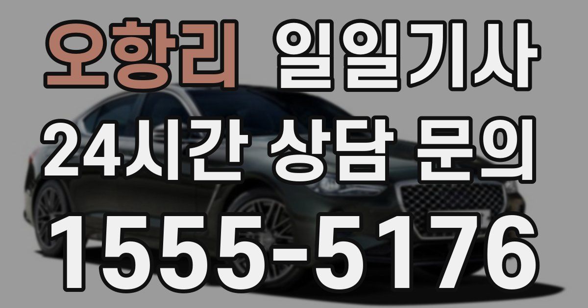 일일대리기사