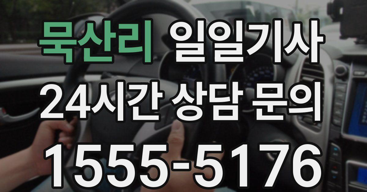 일일대리기사