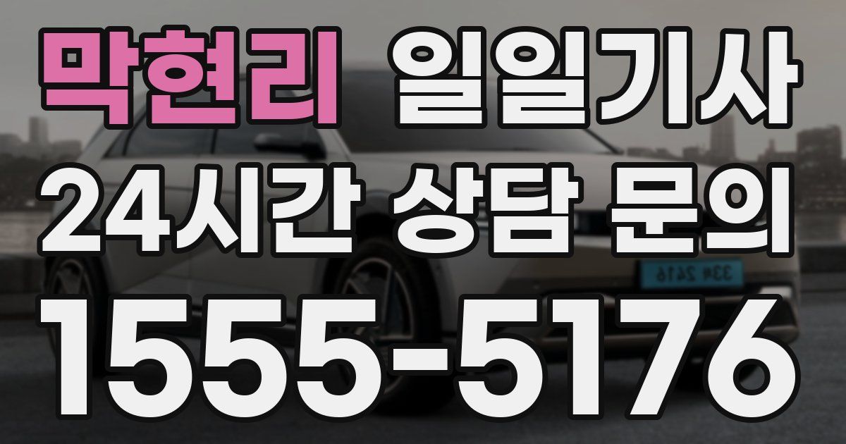 일일대리기사