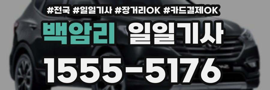 백암리 일일기사