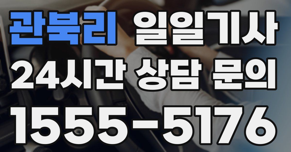 일일대리기사