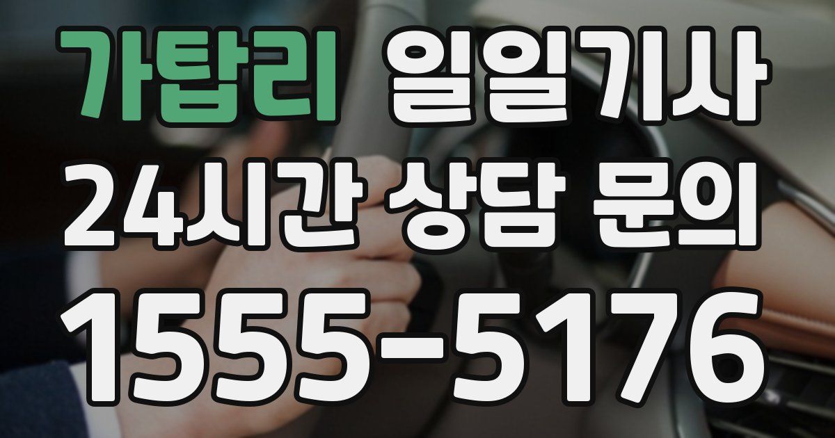 일일대리기사