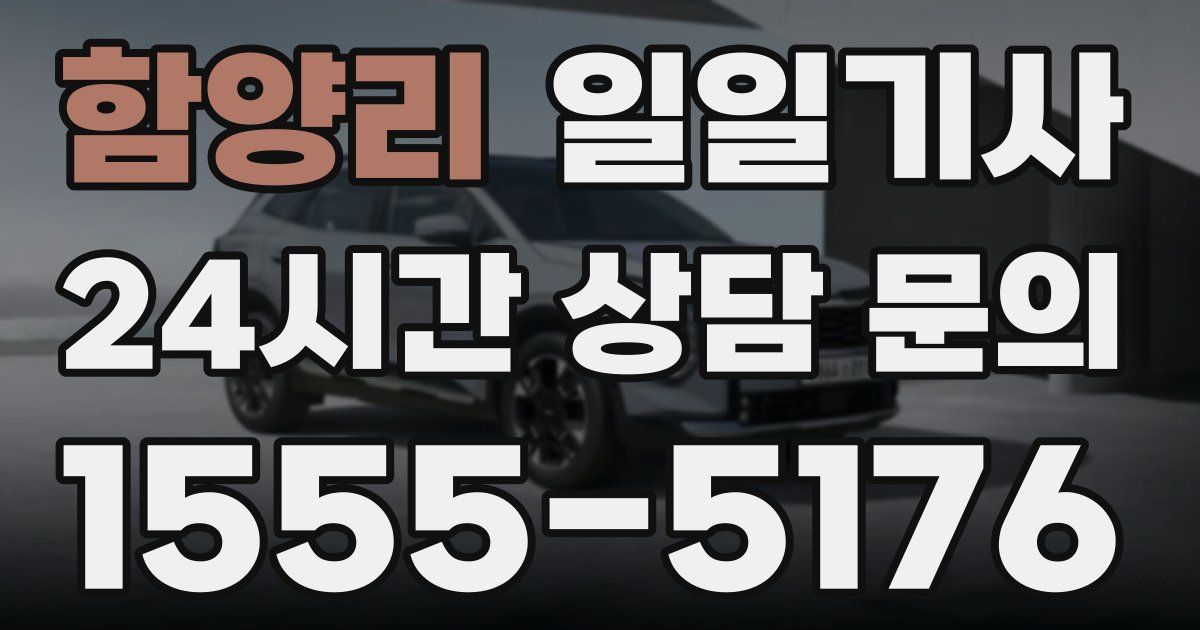 일일대리기사