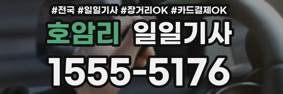 호암리 일일기사