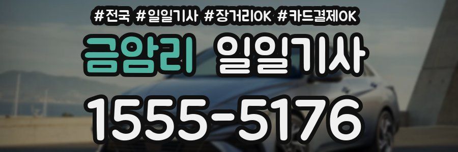 금암리 일일기사