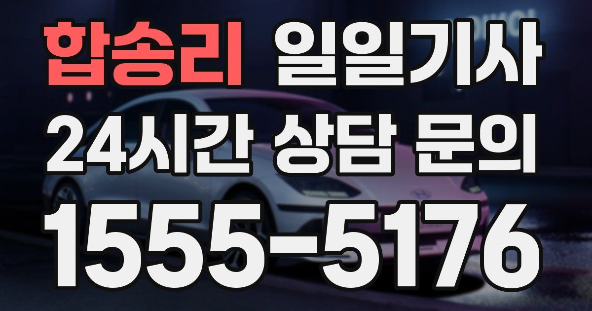 일일대리기사