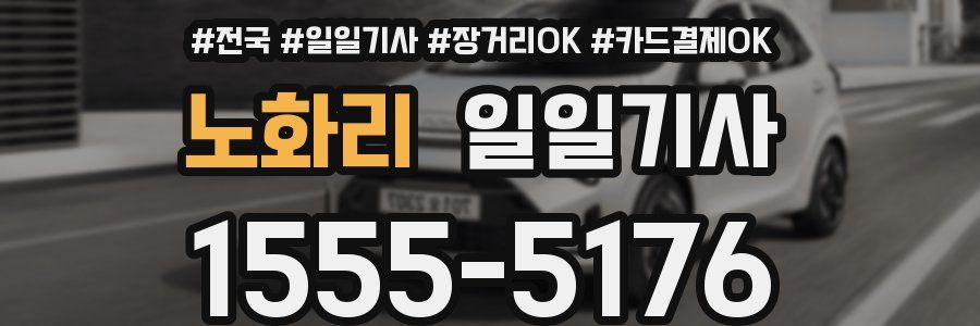 노화리 일일기사