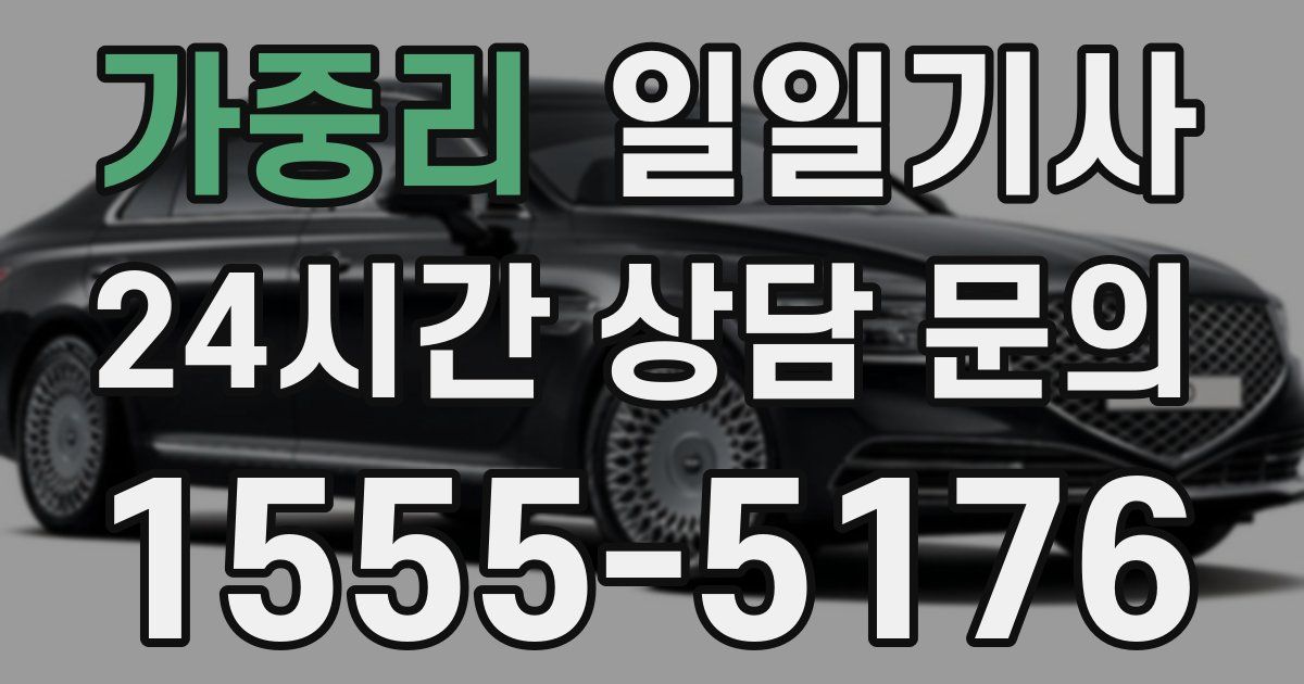 일일대리기사