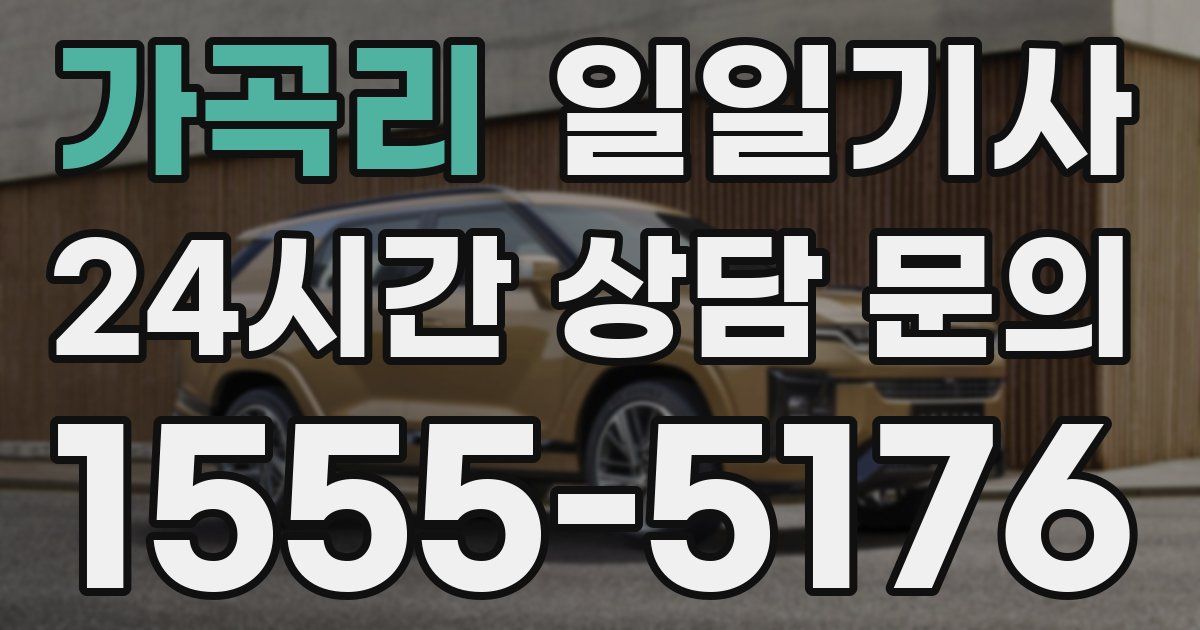 일일대리기사