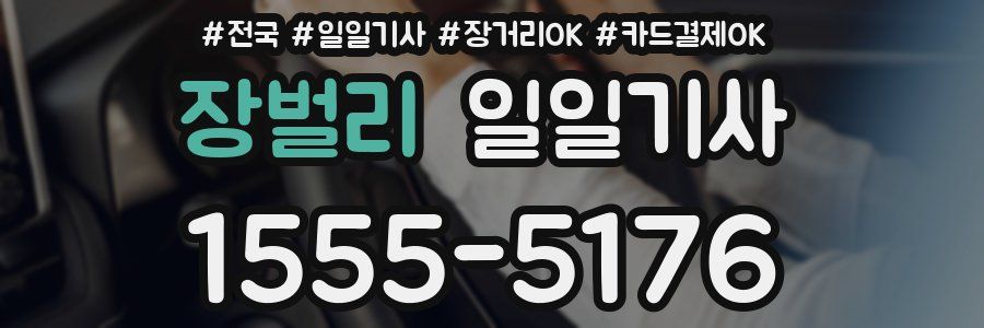 장벌리 일일기사