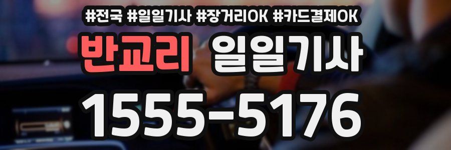 반교리 일일기사