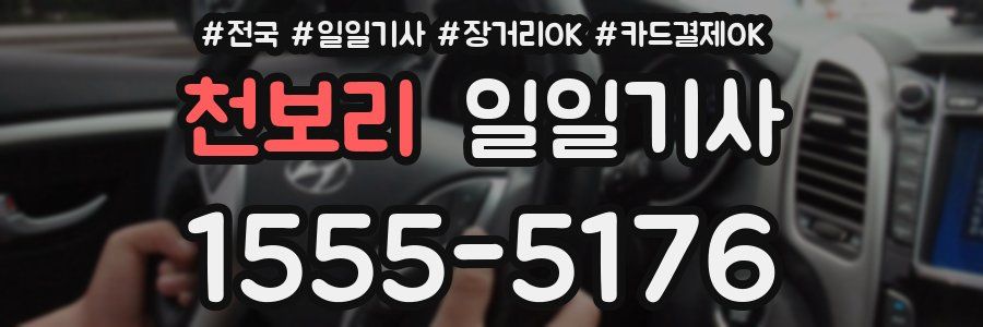 천보리 일일기사