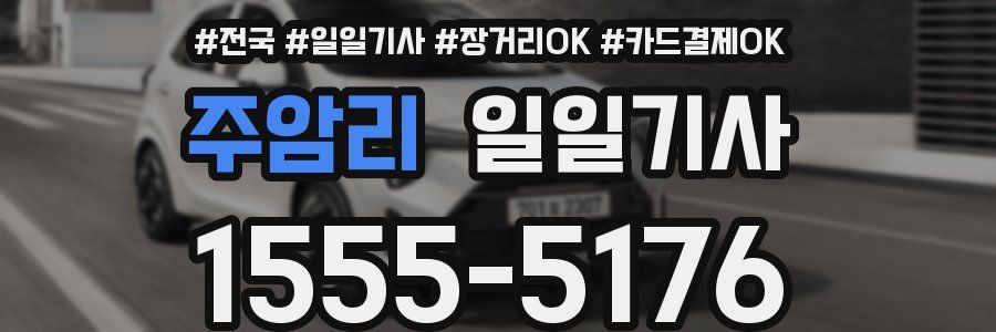 주암리 일일기사