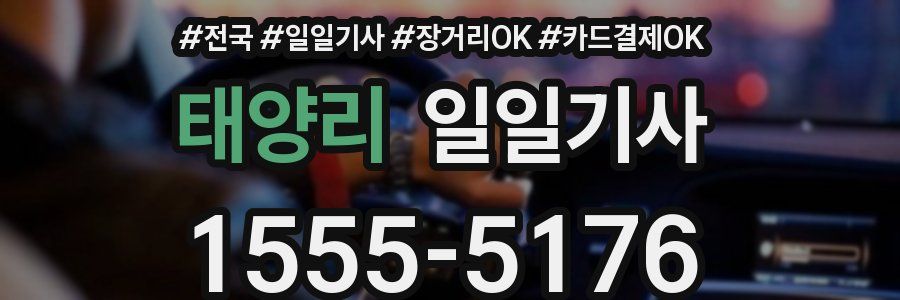 태양리 일일기사