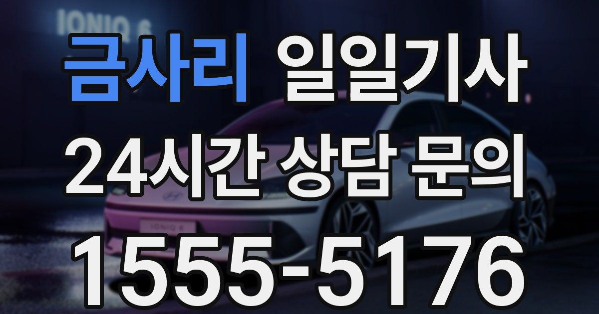 일일대리기사