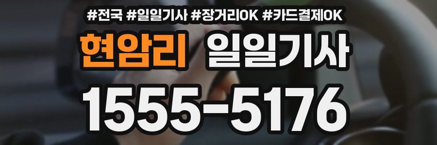 현암리 일일기사