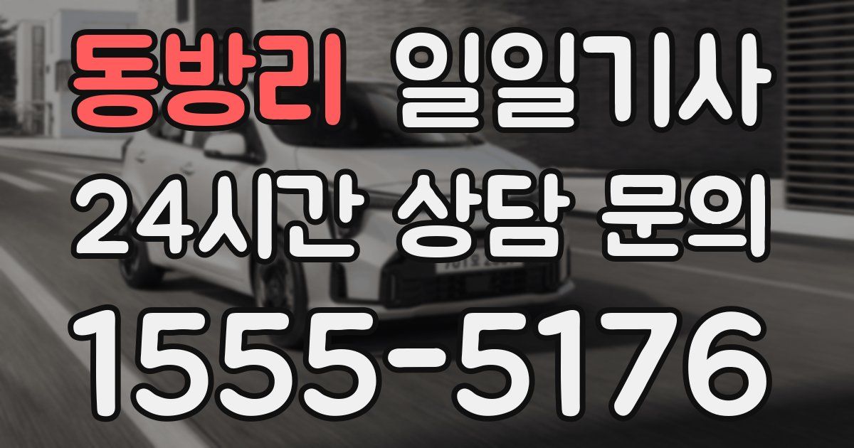 일일대리기사