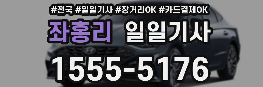 좌홍리 일일기사
