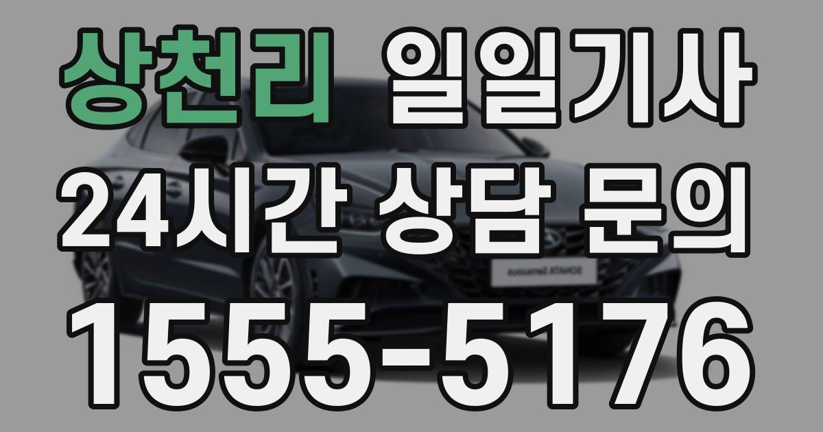 일일대리기사