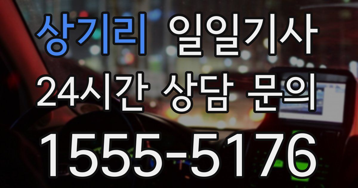 일일대리기사