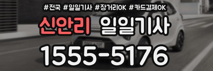 신안리 일일기사