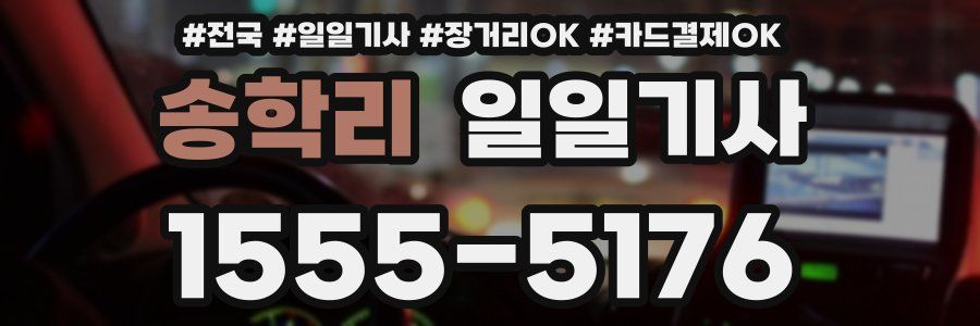 송학리 일일기사