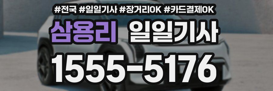 삼용리 일일기사