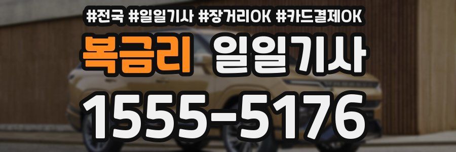 복금리 일일기사