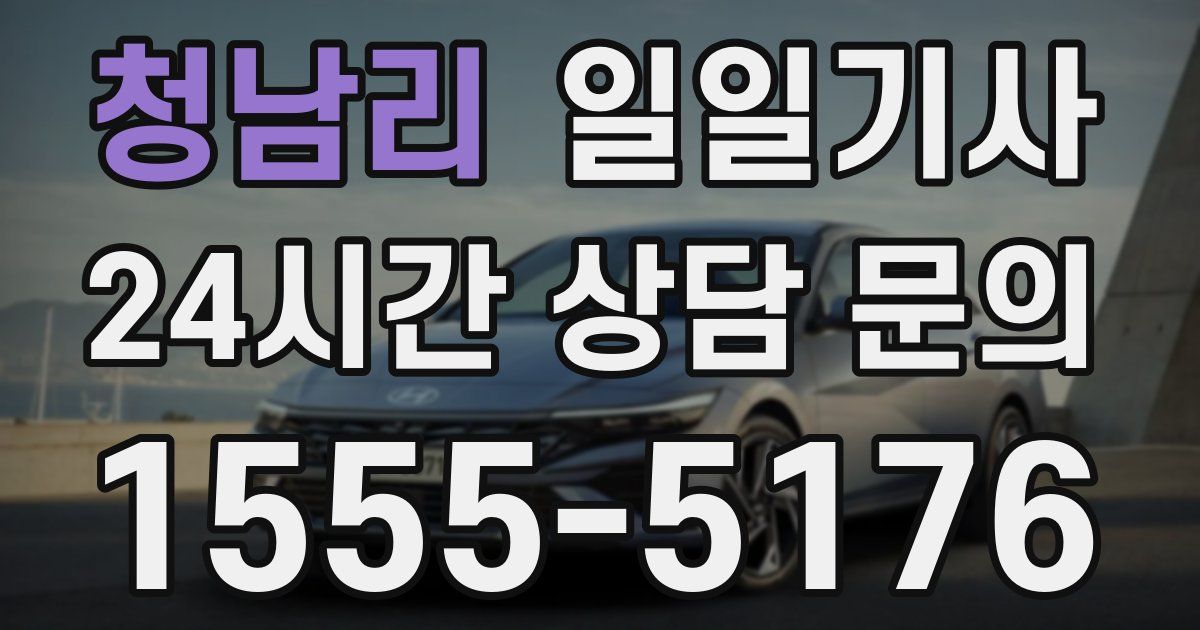 일일대리기사