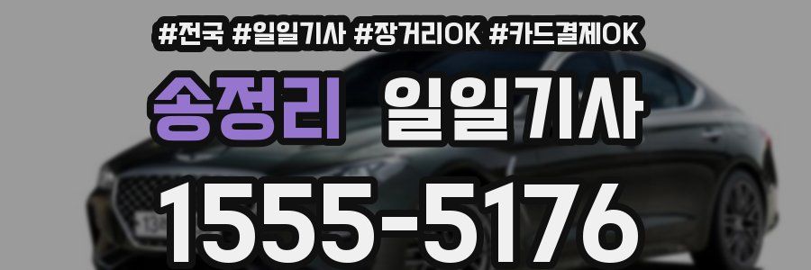 송정리 일일기사