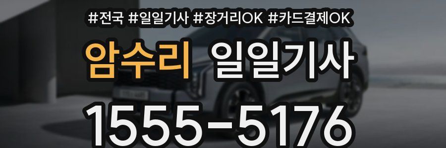 암수리 일일기사