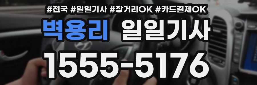 벽용리 일일기사