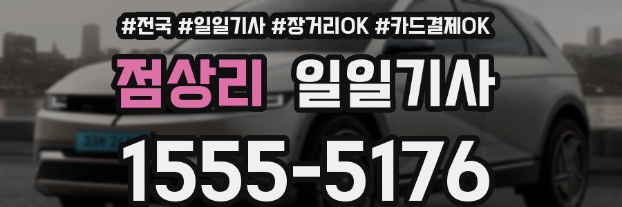 점상리 일일기사