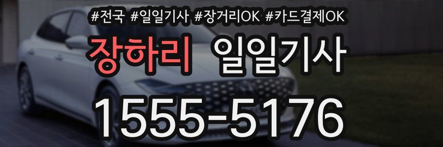 장하리 일일기사